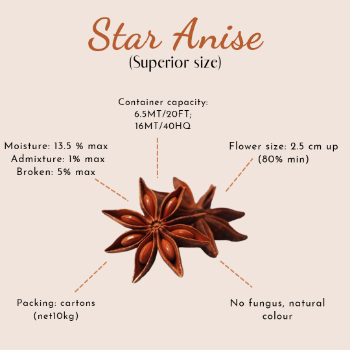 High Quality Autumn Dried Star Anise For Seasoning 100% Pure Star Anise High Quality Made In Vietnam Manufacturer Good Price 2