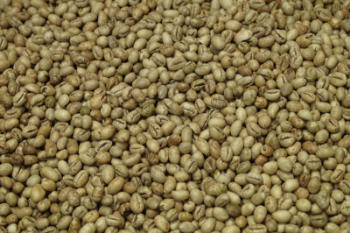 Culi Arabica Green Bean Coffee High Quality Organic Usable ISO220002018 60 kg/jute bag from Vietnam Manufacturer 3