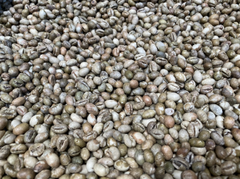 Culi Arabica Green Bean Coffee High Quality Organic Usable ISO220002018 60 kg/jute bag from Vietnam Manufacturer 5