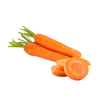 Fresh Carrots Low Calorie Delicious Food Vinagreen Tropical & Sub-Tropical Fruit Fresh In Carton/ Mesh Vietnam Manufacturer 3