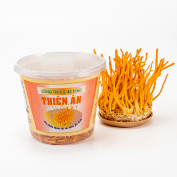 Cordyceps Dried Good smell High Quality Organic Using For Food ISO Packing In Jar Made In Vietnam Manufacturer 3