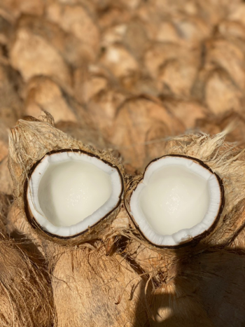 100% Natural Dried Coconut Semi-Husked Hot Selling From Vietnam Nutrition Juicy Thick Meat Sweet Water Agriculture 1