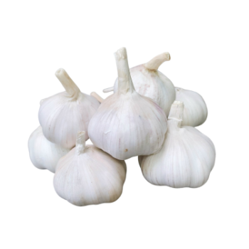 Good Quality Garlic Used As A Seasoning For Dishes 100% Dried Garlic Organic Packed In Box Vietnam Manufacturer 1