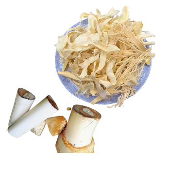 Heart Of Palm Natural Coconut Sprout Dried Coconut Tubers Fresh Coconut Dryer Dried Vegetable Fast Delivery Made In Vietnam 5