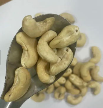 Roasted Cashew Nut W180 With Shell Professional Team Export Food High Protein Customized Packaging From Vietnam Trading 3