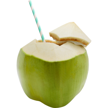 Premium Quality Fresh Young Coconut for Drinking and Cooking Wholesale from Viet Nam Manufacturer 2