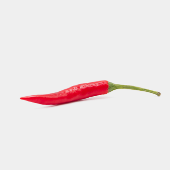 Non Toxic Spices & Herbs Fresh Chili Premium Organics Good Customer Service High Grade Fresh Chilli Form Vietnam Manufacturer 4