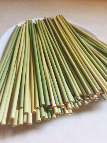 Wholesale Dried eagle grass straws 15cm for Beverage Store Eco-friendly lightweight eagle grass drinking Straw in Viet Nam 3