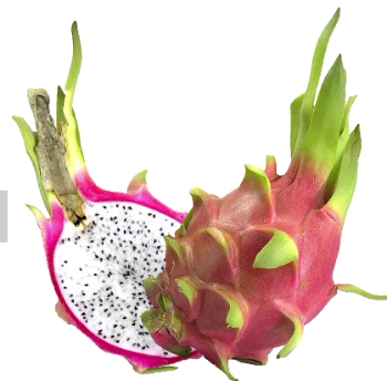 Tropical Dragon Fruit Best Choice Sweet Making Food Bulksales Carton Box Plastic Wrap From Vietnam Manufacturer 3