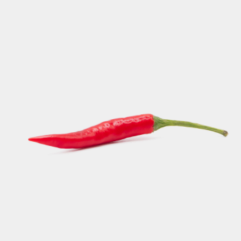 Vietnam Fresh Chili Good Products Non Toxic Premium Organics Fresh Chilli Packing Herbs Weight Form Vietnam Manufacturer 5