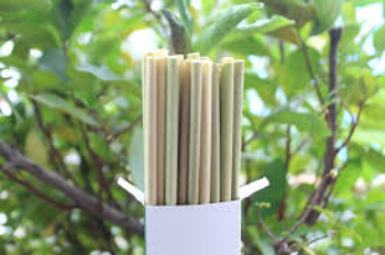 Innovative Compostable Eco-friendly 100% Premium Dried eagle grass straws 25cm in Vietnam 3