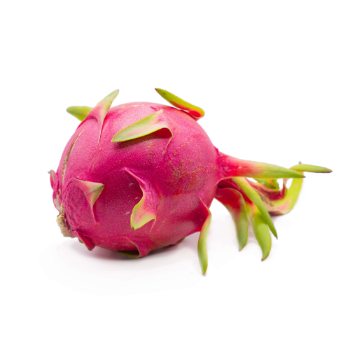 Competitive Price Hot Selling Natural Sweet Fresh Dragon Fruit From Supplier In Vietnam Ready To Export Vietnam Manufacturer 1