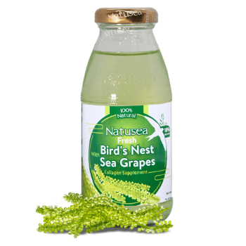 Fresh Bird'S Nest With Sea Grapes Professional Team Collagen Supplement Low-Fat Mitasu Jsc Carton Box From Vietnam Manufacturer 1