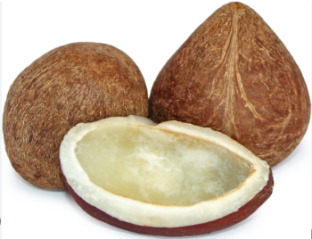 Dried coconut OEM good taste natural sweet using for food packing in carton made in Vietnamese Manufacturer 3