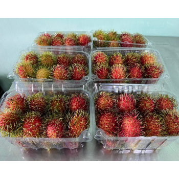 Passion Fruit Organic Healthy Haccp Professional Team Wholesales Fresh Customized Packaging Vietnamese Manufacturer 5