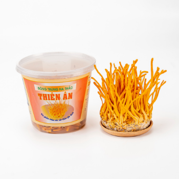 Dried Cordyceps Raw Cordyceps Competitive Price Precious Food Using For Food ISO Packing In Jar Made in Asian Manufacturer 3