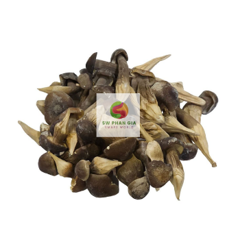 Organic Sublimation Dried Black Termite Mushrooms Nature Fresh Mushroom Growing High Quality No Preservatives Made In Vietnam 1