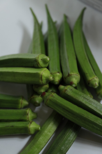 Okra Prices Fresh Competitive Price Agricultural Products using for many purposes TCVN packing in carton Vietnam Manufacturer 5