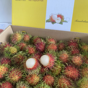 Whole Rambutan For Export Us 100% Organic Fast Delivery Viet Tropical Fruit Carton Box Made In Vietnam Manufacturer 3