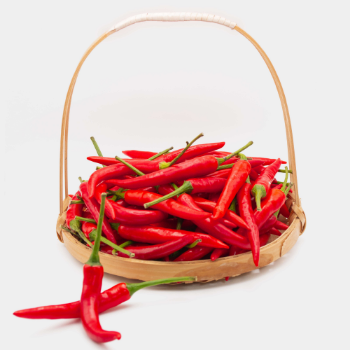 Good Choice Fresh Chili Non Toxic High Quality Fresh 2023 Spicy Taste Raw Material Form Vietnam Manufacturer 7