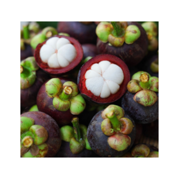 Best Price Fresh Mangosteen 100% Natural Organic Good For Health Packed In Box From Vietnam Manufacturer 1