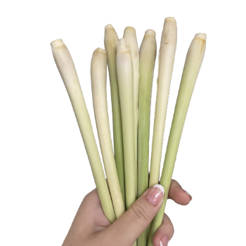 Lemongrass High Quality with HACCP Certificate Free Tax - Spices and Herbs Lemon Grass Best Price From VietNam 6