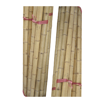 Factory Price Bamboo Pole Straight Raw Material Best Selling Eco-friendly Ready To Export Top Guaranteed Popular For Making Household Decoration From Vietnam Manufacturer 6