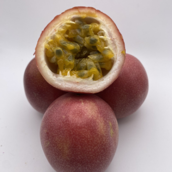 Passion Fruit Plant For Sale Fast Delivery Natural Fresh Organic Passion Fruits Making Juice Cakes Fresh Fruit Packaging Box VietNam Manufacture 5