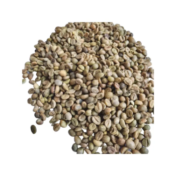 Raw Coffee Beans Robusta Coffee S18 - High ripening rate First Class Grade Good Price Natural No Preservatives 2