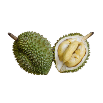 The Best Fresh Durian Ri6 Eat Directly Sweet And Fatty Taste Organic Packed In Box From Vietnam Manufacturer 3