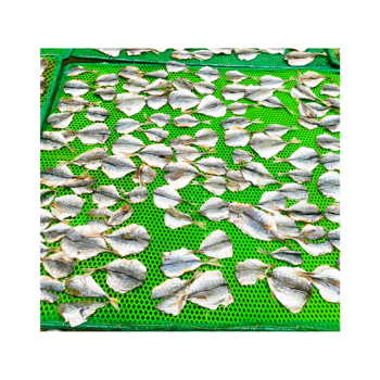 Dried Yellow Stripe Trevally Fish Dried Fish Packaging Competitive Price Export Ly Huynh Tasty Vacuum Pack Vietnam Manufacturer 5