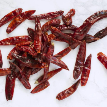 Chili Hot Pepper Spice Biggest Sale Super Spicy Fresh Chili Best Quality Organic Fresh Chili Export from Viet Nam 4