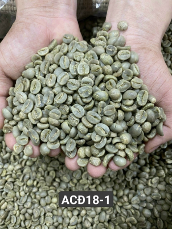 Natural Color Variety Of Price Feature Best Product Packed In the Carton box Robusta Coffee Green Bean Coffee Natural Color Natu 6