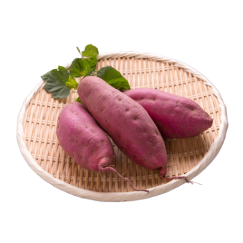 Sweet Potato Vietnam Variety raw ingredients using for many purposes TCVN packing in carton from Asian Manufacturer 4