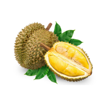 Fast Delivery Fresh Durian Monthong Eat Directly Sweet And Fatty Taste Organic Packed In Box Vietnamese Manufacturer 3