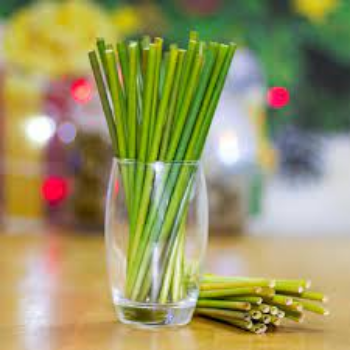 Eco-friendly Natural Dried grass straws 20cm Grass Drinking Straw Organic Custom Straw With Wholesale Price 4