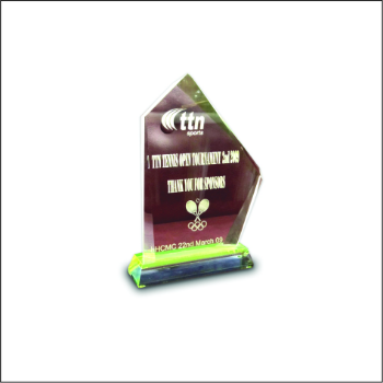 Acrylic Cutting Trophy High Specification Special Custom Business Gift Customized Packing Vietnam Manufacturer 5