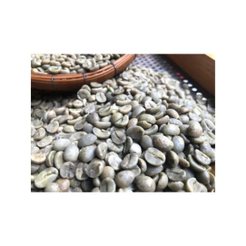 Arabica FW L3 S18 Coffee Raw Coffee Beans Hot Selling Purity Using For Making Food And Beverage No Preservatives 2