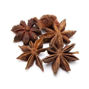 Made In Vietnam High Quality Autumn Dried Star Anise For Seasoning 100% Pure Star Anise High Quality Manufacturer Good Price 5