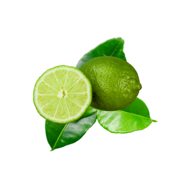 Fresh Lime OEM/ ODM Fresh Best Quality Tasty For Cooking Vinagreen Customized Packing Vietnam Manufacture 4