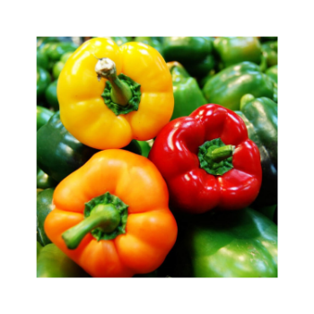 Hot Item Fresh Bell Pepper 100% Natural Capsicums Tropical & Sub-Tropical Fruit Packed In Box From Vietnam Manufacturer 3