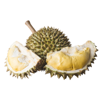 Durian Organic Variety New Crop Using For Many purposes TCVN packing in carton from Vietnam Manufacturer 6