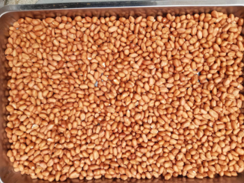 Good Quality Peanut Kernel 2024 Green Vina Ready To Use Oem Roasted From Vietnam Manufacturer 4