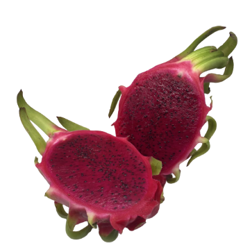 Standard Fresh Dragon Fruit 100% Organic Reasonable Price Healthy Wholesales Fresh Customized Packaging Vietnam Manufacturer 2