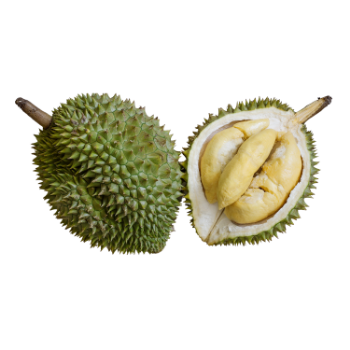 Durian Fruit For Sale Cheap Price New Crop using for many purposes TCVN packing in carton from Vietnam Manufacturer 2