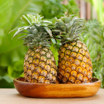 Fresh Pineapple Fresh Cheap Price  Organic Using For Food Vinagreen Customized Packing Made In Vietnam Manufacturer 4