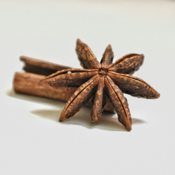 From Vietnam Manufacturer Star Anise Superior Whole Sale Hot Sale Natural Clean Anise High Quality Dried Spice Dried Star Anise 4