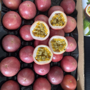 Whole Passion Fruit For Export Us Haccp Reasonable Price Wholesales Fresh Customized Packaging Made In Vietnam Manufacturer 5