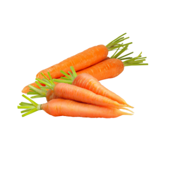 Fresh Carrots Low Calorie Delicious Food Vinagreen Tropical & Sub-Tropical Fruit Fresh In Carton/ Mesh Vietnam Manufacturer 6