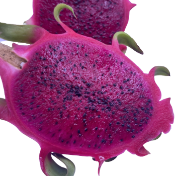 Tropical Fruit Dragon Fruit 100% Organic High Quality Ready To Ship Wholesales Fresh Carton Box From Vietnam Manufacturer 4